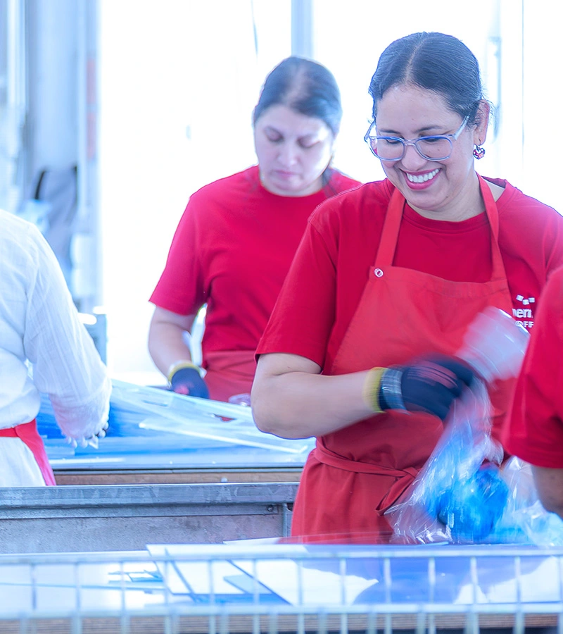 PMMA- und PC-Recycling-System